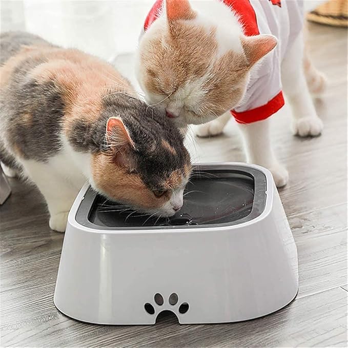 HydroHush™ — End Spills and Stress for Happier, Healthier Pets