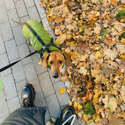 VentiPaw™ Weather Jacket — Wrap Your Pup in Cozy Warmth and Instant Control, Rain or Shine