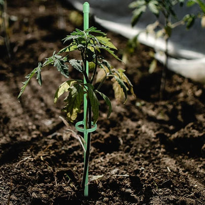 VitaStem™ — Unshakable Plant Support That Fuels Fierce, Flourishing Growth Every Season