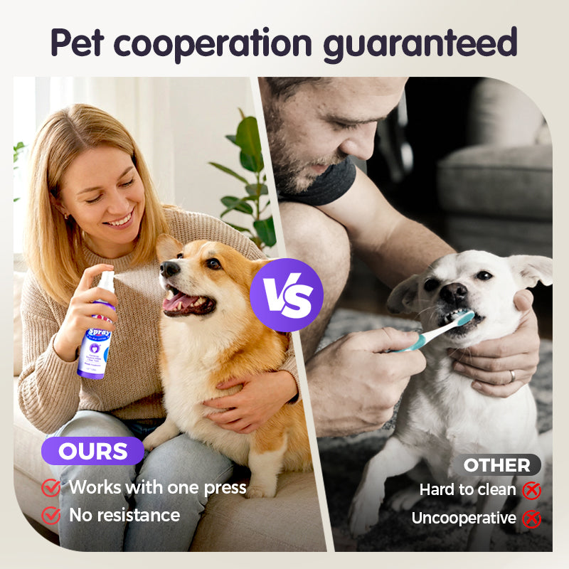 PureSmile Pets™ — Effortless Fresh Breath That Ignites Daily Cuddles