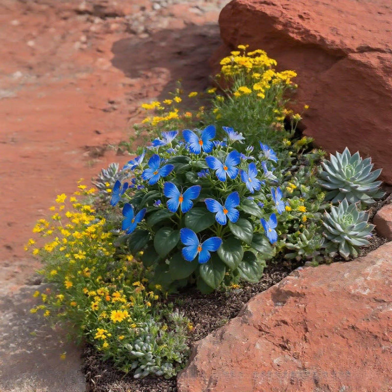 FaeMorph™ Butterfly Bloom Seeds — Create a Magical Garden That Leaves Everyone Breathless