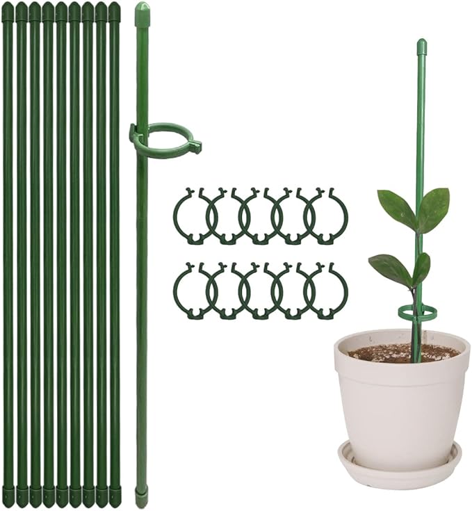 VitaStem™ — Unshakable Plant Support That Fuels Fierce, Flourishing Growth Every Season