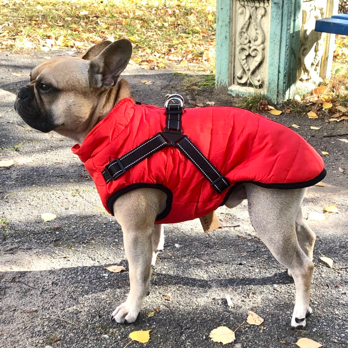 VentiPaw™ Weather Jacket — Wrap Your Pup in Cozy Warmth and Instant Control, Rain or Shine