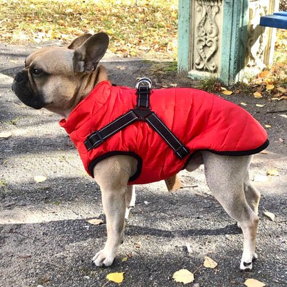 VentiPaw™ Weather Jacket — Wrap Your Pup in Cozy Warmth and Instant Control, Rain or Shine