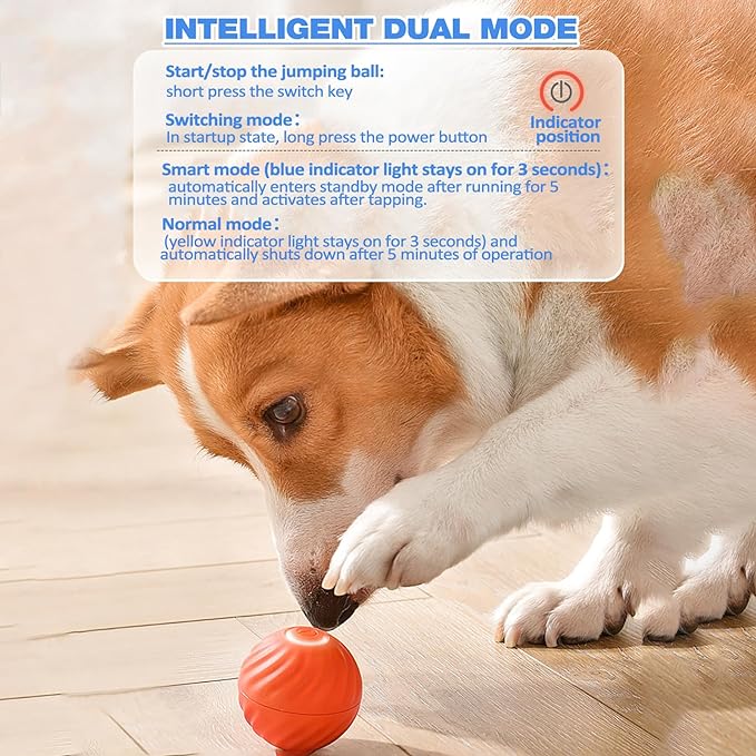 TurboBark™ — Ignite Your Dog’s Pure Joy with Endless, Hands-Free Chase Fun