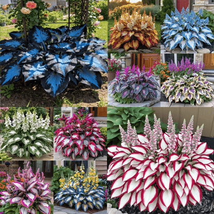 ShadeFlair™ — Turn Dark, Neglected Corners into Lush, Vibrant Garden Sanctuaries