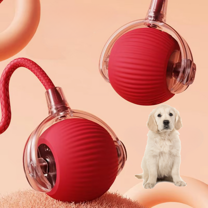 ZoomTail™ — Unleash Your Dog’s Ultimate Energy and Fun Instincts