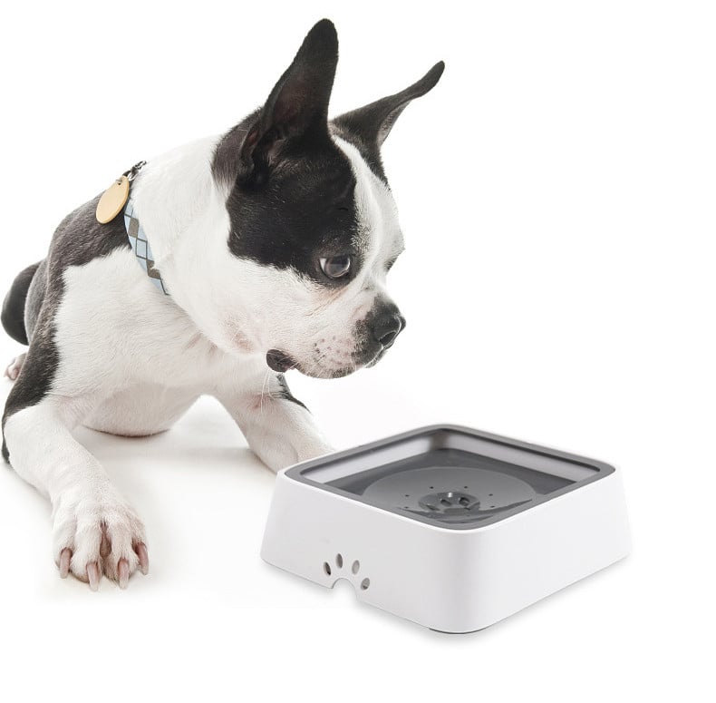 HydroHush™ — End Spills and Stress for Happier, Healthier Pets