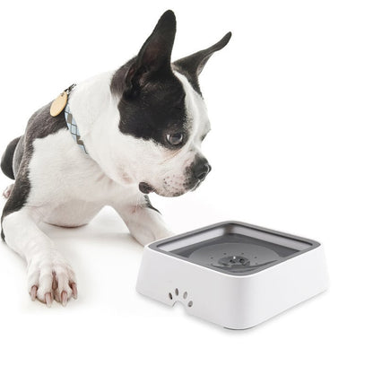 HydroHush™ — End Spills and Stress for Happier, Healthier Pets