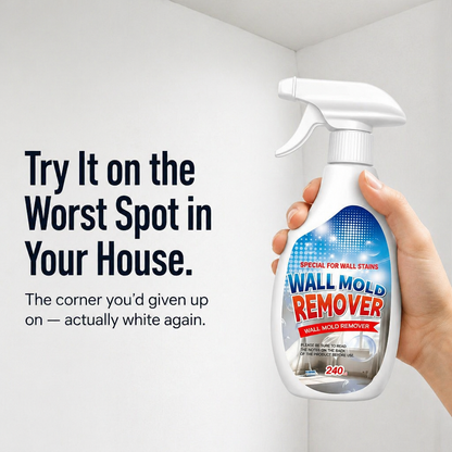 MoldDefy™ — Crush Stubborn Mold for a Fresh, Forever-Clean Home