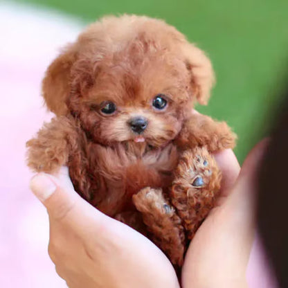 PuppiSoul™ — Bring Home Heartfelt Puppy Love Without the Hassle
