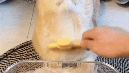 SereniPaw™ — Transform Grooming Into Your Cat’s Favorite Calm Escape