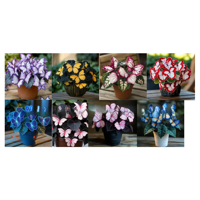 FaeMorph™ Butterfly Bloom Seeds — Create a Magical Garden That Leaves Everyone Breathless