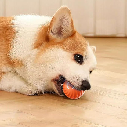 TurboBark™ — Ignite Your Dog’s Pure Joy with Endless, Hands-Free Chase Fun