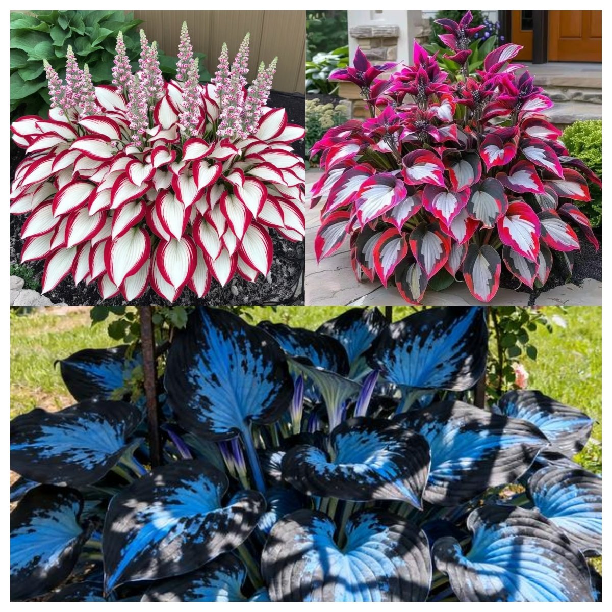 ShadeFlair™ — Turn Dark, Neglected Corners into Lush, Vibrant Garden Sanctuaries