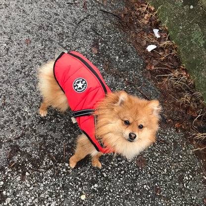 VentiPaw™ Weather Jacket — Wrap Your Pup in Cozy Warmth and Instant Control, Rain or Shine