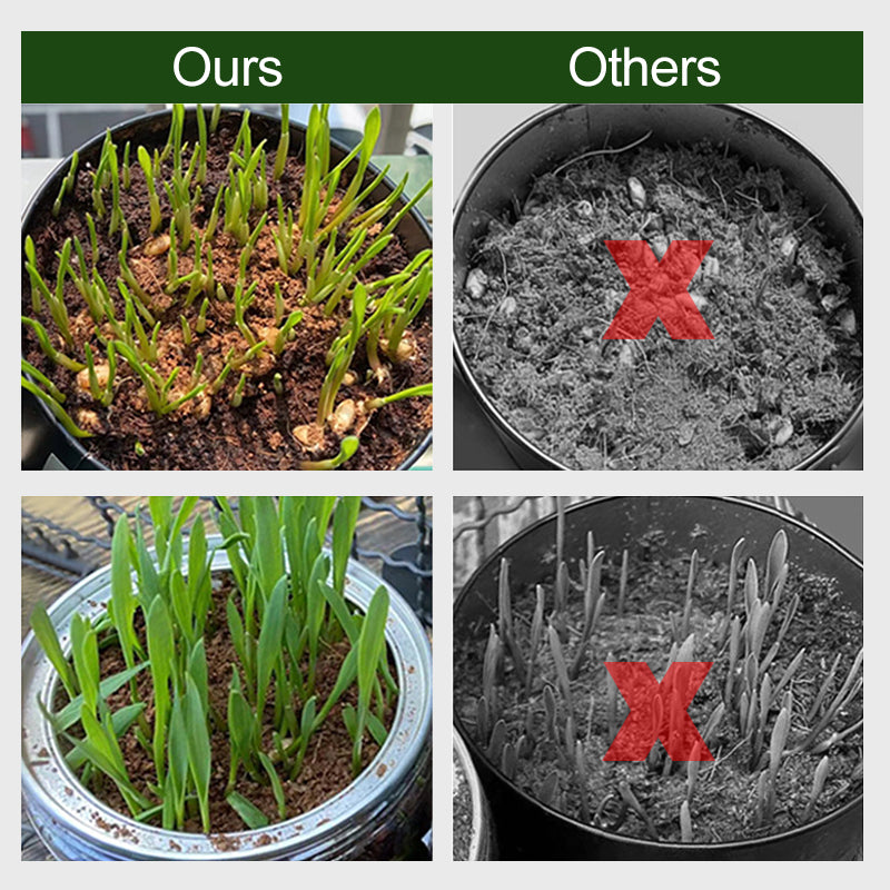 RootGlow™ — Ignite Explosive Growth with Perfectly Moist, Oxygen-Rich Roots Every Time