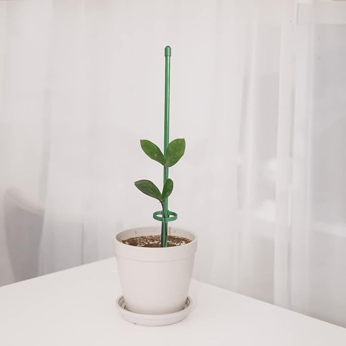 VitaStem™ — Unshakable Plant Support That Fuels Fierce, Flourishing Growth Every Season