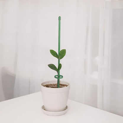VitaStem™ — Unshakable Plant Support That Fuels Fierce, Flourishing Growth Every Season
