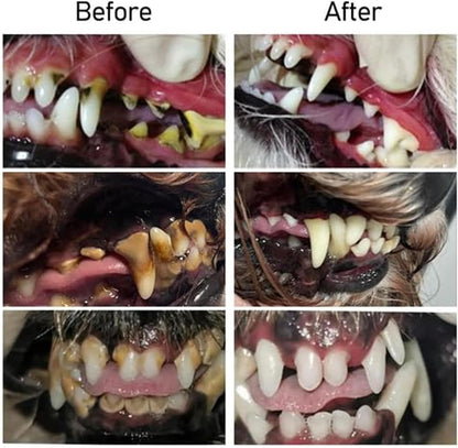 MiraMouth™ — Transform Your Pet’s Smile into a Breath of Fresh Love