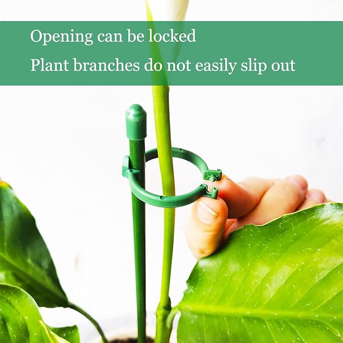 VitaStem™ — Unshakable Plant Support That Fuels Fierce, Flourishing Growth Every Season