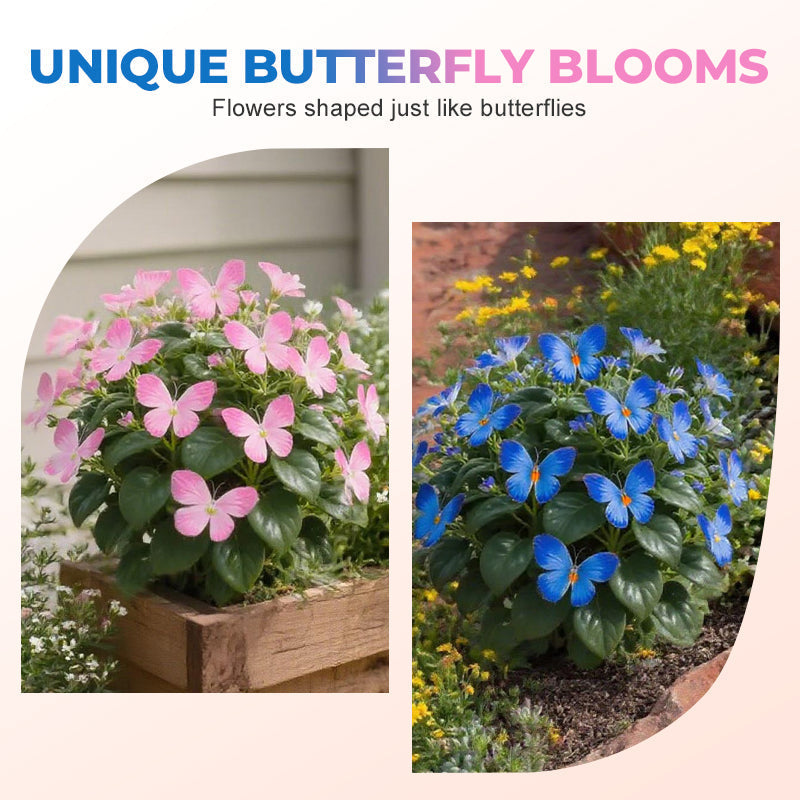 FaeMorph™ Butterfly Bloom Seeds — Create a Magical Garden That Leaves Everyone Breathless