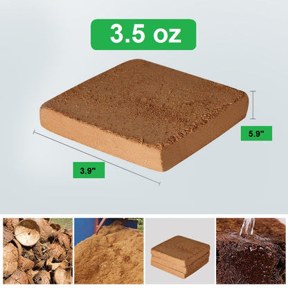RootGlow™ — Ignite Explosive Growth with Perfectly Moist, Oxygen-Rich Roots Every Time