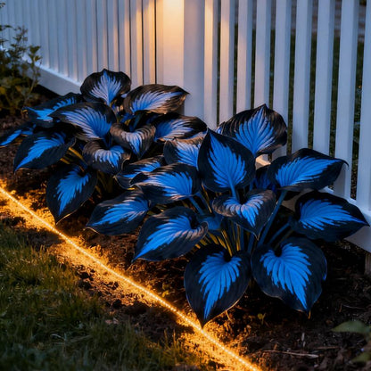 ShadeFlair™ — Turn Dark, Neglected Corners into Lush, Vibrant Garden Sanctuaries