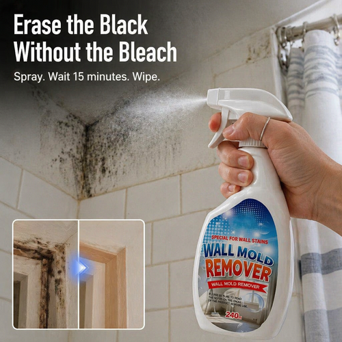 MoldDefy™ — Crush Stubborn Mold for a Fresh, Forever-Clean Home