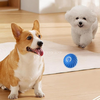 TurboBark™ — Ignite Your Dog’s Pure Joy with Endless, Hands-Free Chase Fun