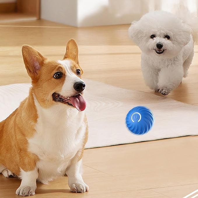 TurboBark™ — Ignite Your Dog’s Pure Joy with Endless, Hands-Free Chase Fun