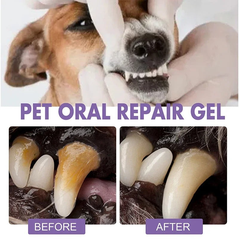 VitalPaw™ — Transform Your Pet’s Smile into Freshness and Comfort Every Day
