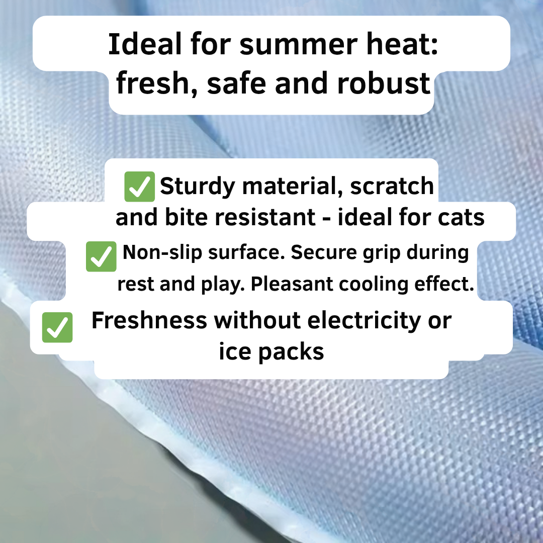 ChillPaw™ — Turn Up the Cool, Spark Endless Joy for Your Cat This Summer