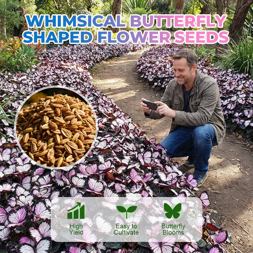 FaeMorph™ Butterfly Bloom Seeds — Create a Magical Garden That Leaves Everyone Breathless