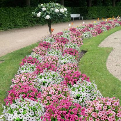 Fleuronix™ Floral Sculptures — Bring Effortless, Ever-Blooming Beauty to Your Space