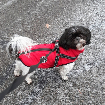 VentiPaw™ Weather Jacket — Wrap Your Pup in Cozy Warmth and Instant Control, Rain or Shine