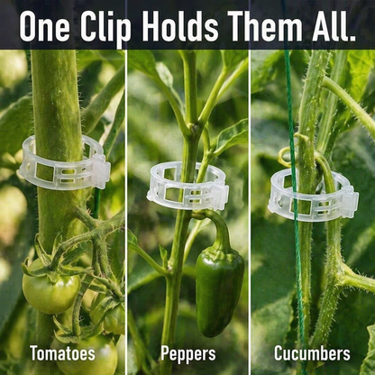 VerdiClip™ — Keep Tomatoes Upright, Skip the Twist Ties, Protect Every Stem from Breaking