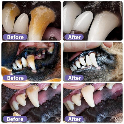 VitalPaw™ — Transform Your Pet’s Smile into Freshness and Comfort Every Day