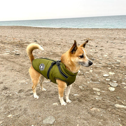 VentiPaw™ Weather Jacket — Wrap Your Pup in Cozy Warmth and Instant Control, Rain or Shine