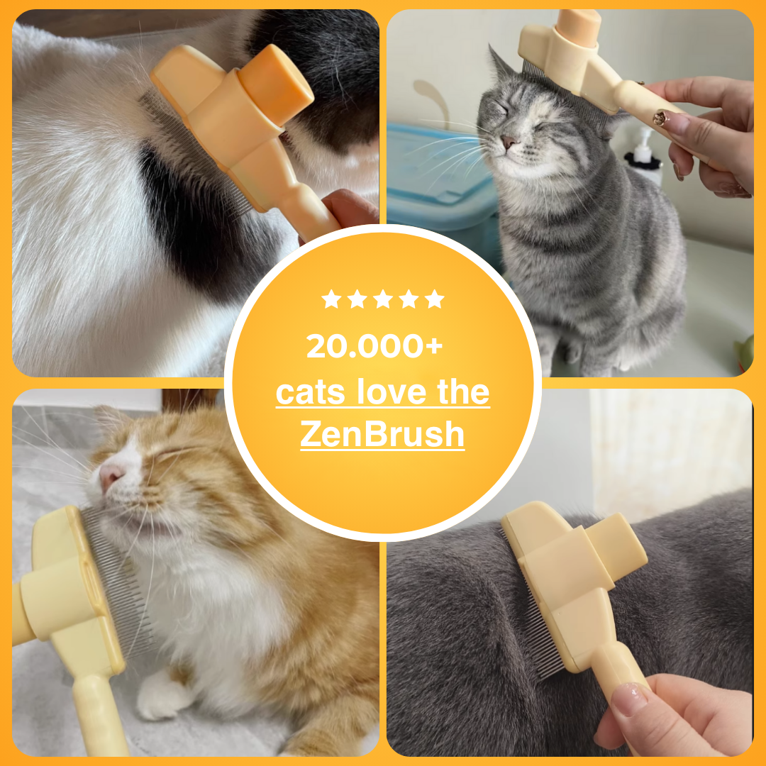 SereniPaw™ — Transform Grooming Into Your Cat’s Favorite Calm Escape