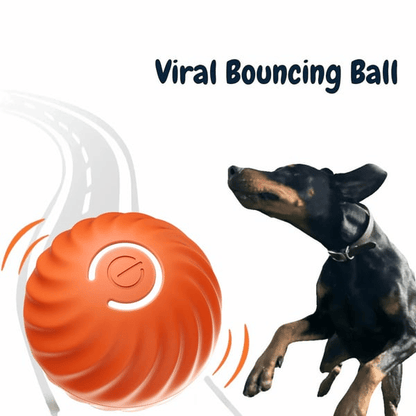 TurboBark™ — Ignite Your Dog’s Pure Joy with Endless, Hands-Free Chase Fun