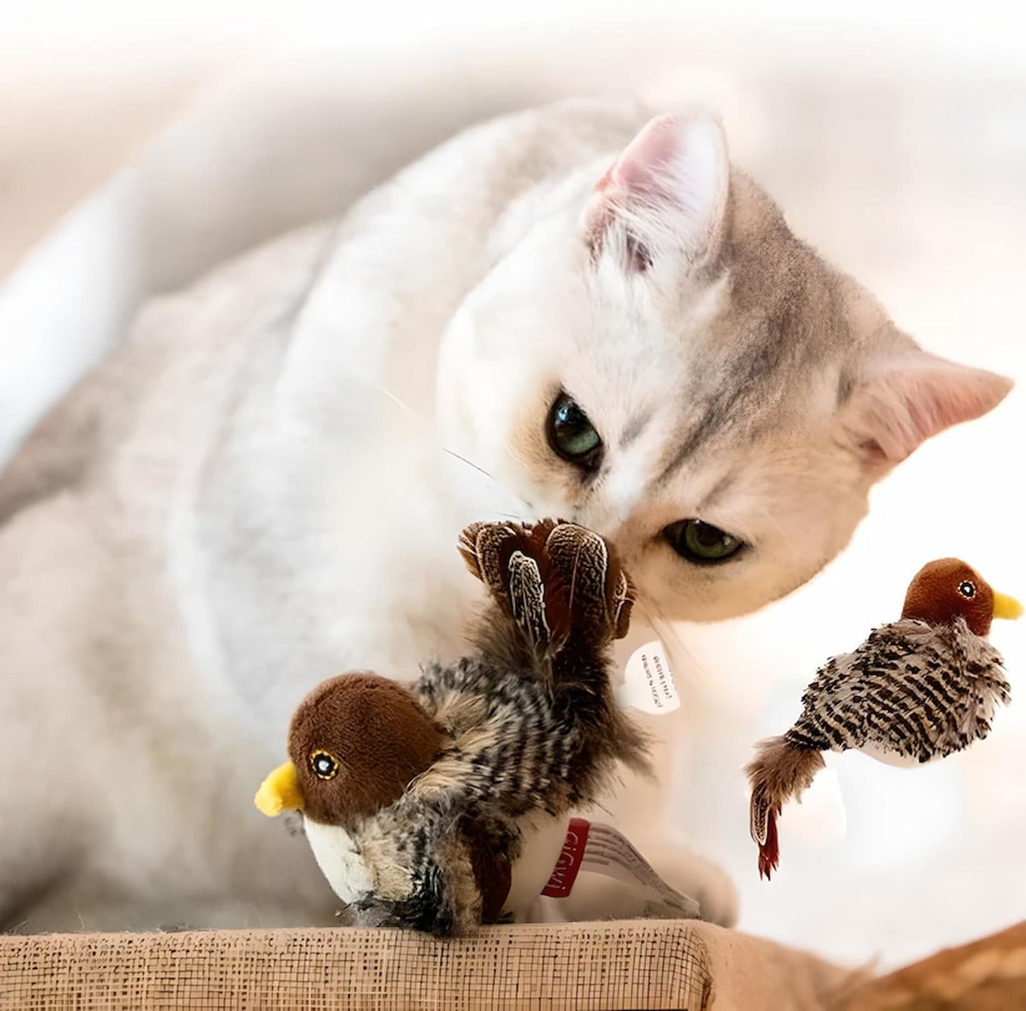 ViviProwl™ — Ignite Your Cat’s Wild Hunt and Endless Joy