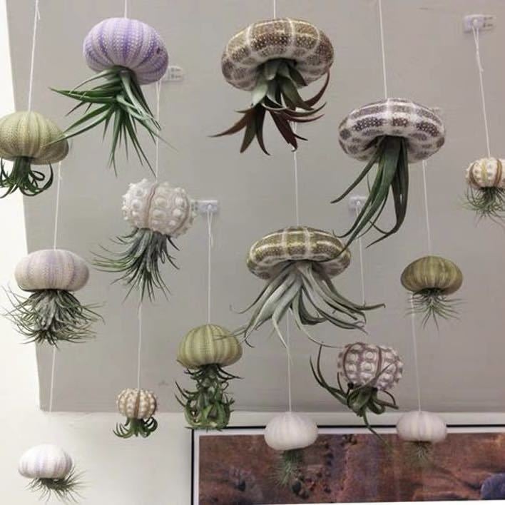 OceanVeil™ — Turn Any Room into a Calm Coastal Escape with Zero Effort