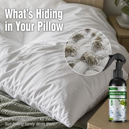 MiteGuard™ — Sleep Peacefully Again with Fast, All-Natural Dust Mite Defense