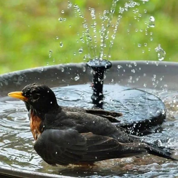 AquaSeren™ — Ignite Your Garden’s Soul with Effortless, Sun-Powered Serenity