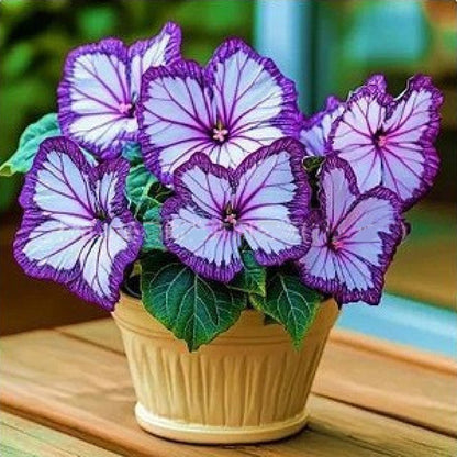 FaeMorph™ Butterfly Bloom Seeds — Create a Magical Garden That Leaves Everyone Breathless