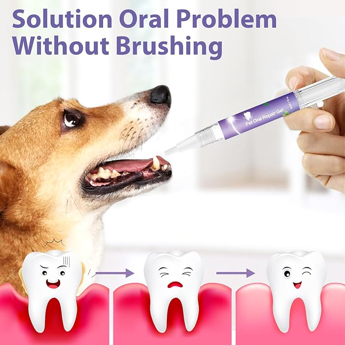 VitalPaw™ — Transform Your Pet’s Smile into Freshness and Comfort Every Day