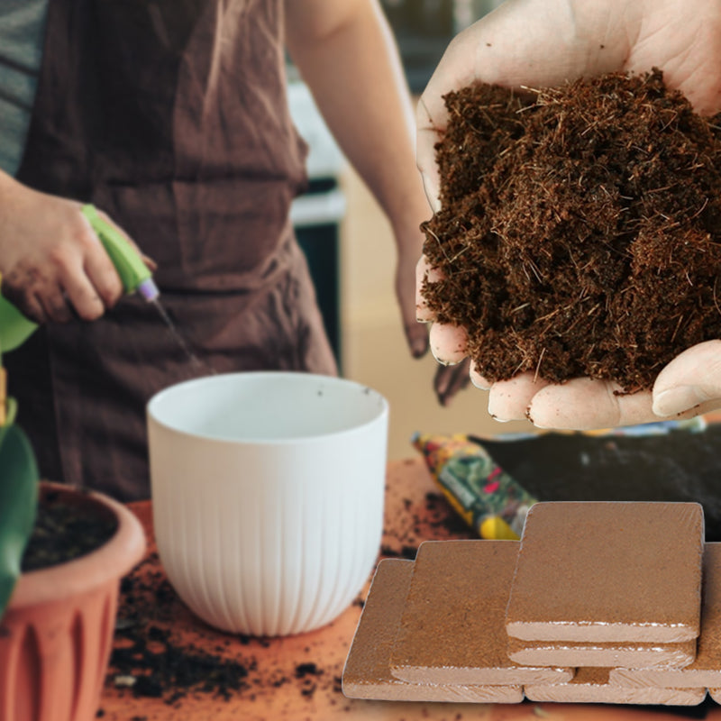 RootGlow™ — Ignite Explosive Growth with Perfectly Moist, Oxygen-Rich Roots Every Time