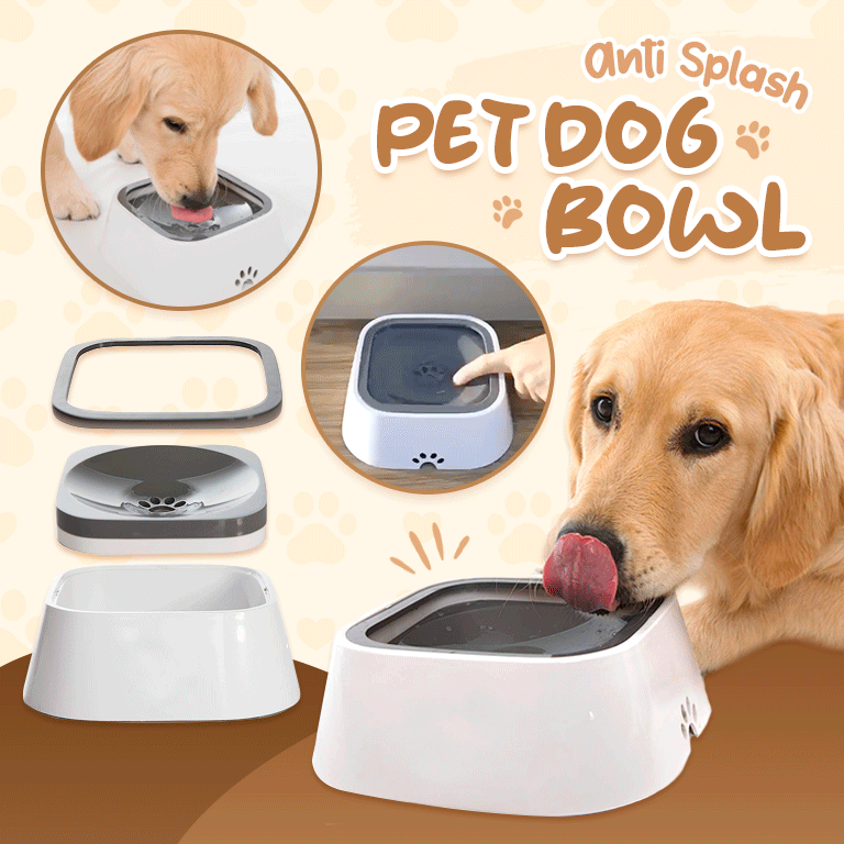 HydroHush™ — End Spills and Stress for Happier, Healthier Pets