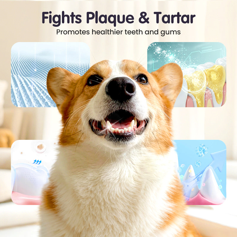 PureSmile Pets™ — Effortless Fresh Breath That Ignites Daily Cuddles